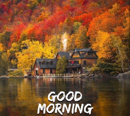 fall morning 2