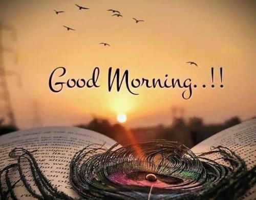 100126 - Bible, flower, birds