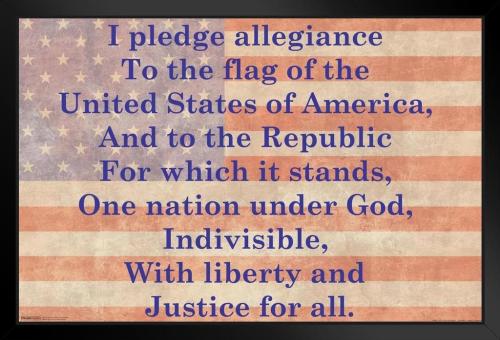 Pledge 24