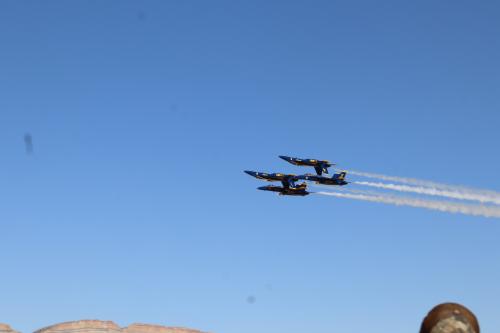 IMG_1502 (1)