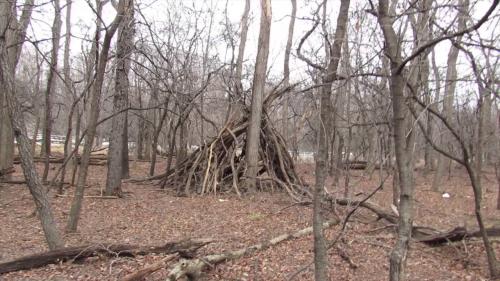 Robinson Woods Chicago, Illinois 6