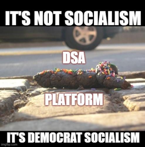DSA Platform 1