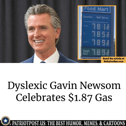meme-dyslexic-newsom