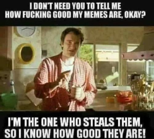 no-need-tell-me-how-good-memes-are