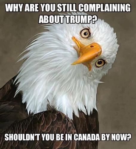 01-GoToEagle