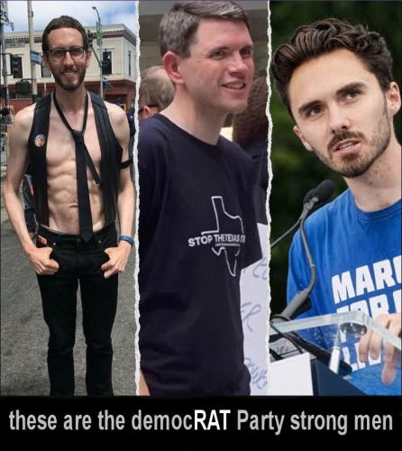 democrats871