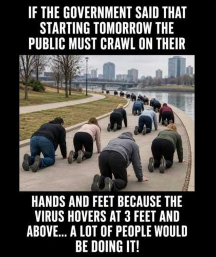Democrats are sheep.768px