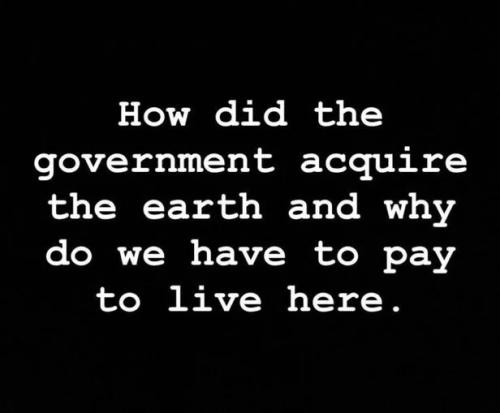 why-we-have-to-pay-to-live-here