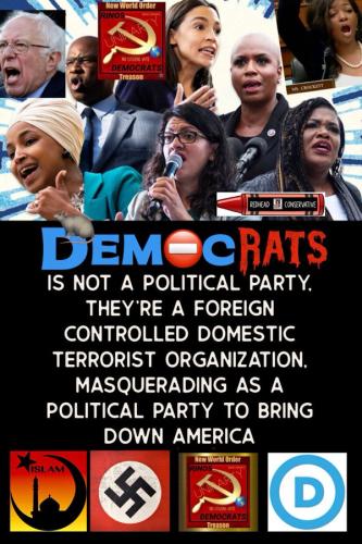 democrat terrorist party