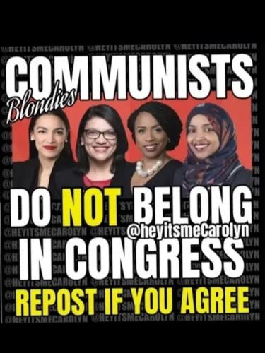 COMMUNISTS DO NOT BELONG IN CONGRESS