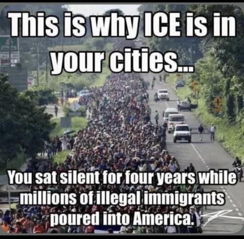 why ICE is in your cities