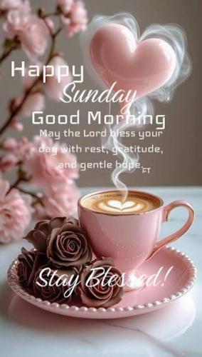 SUNDAY Images-26