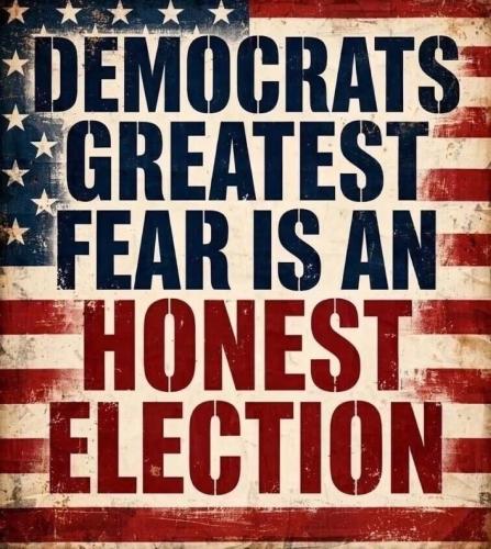 Reality Check - Honest Election 1