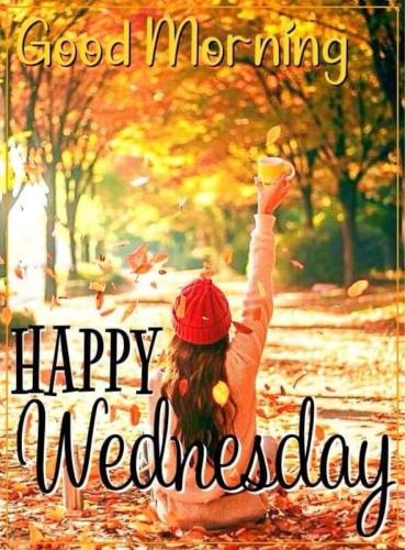 0a0a0a WEDNESDAY img