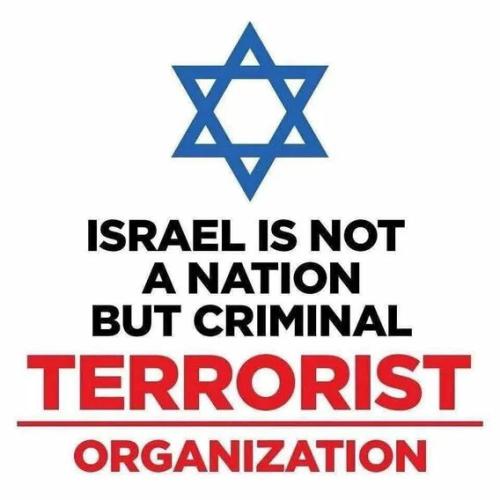 ISRAEL IS A TERRORIST ORG.!