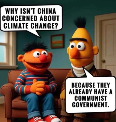 CHINA BERT AND ERNIE