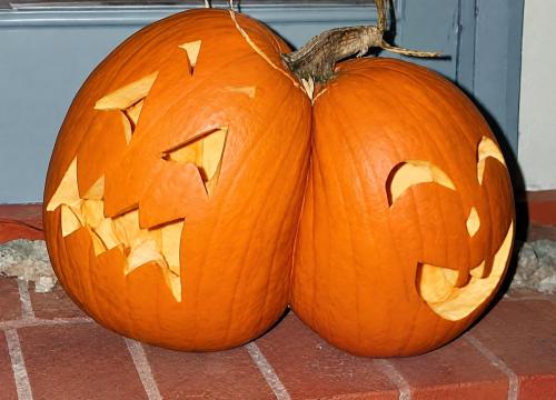 siamese pumpkins from pet