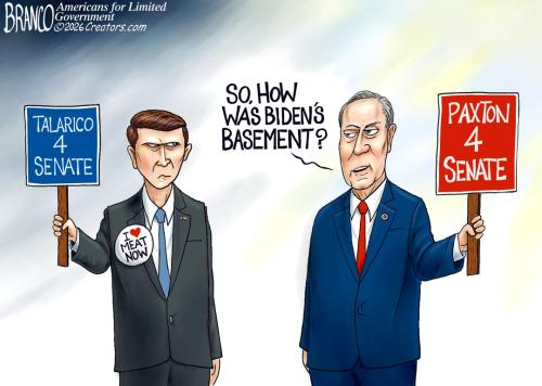 06-TxBasement-DT-1080
