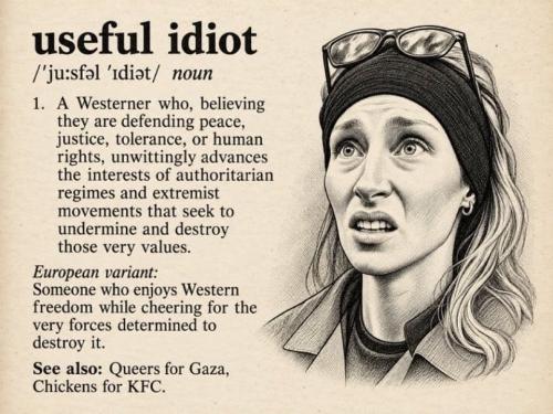 Useful Idiots 2