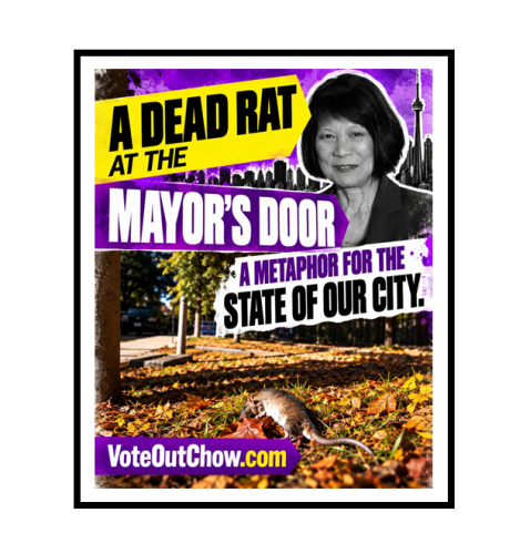 dead rat