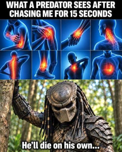 _75445523