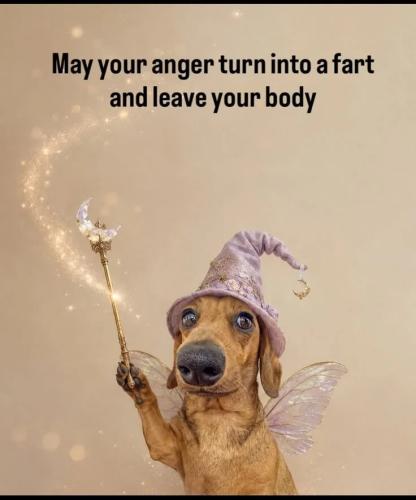 anger-turn-into-fart
