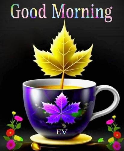 100626 - GM, Purple cup