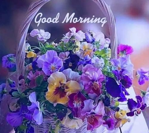 desktop-wallpaper-good-morning-flowers-for-whatsapp-video-good-morning-flowers