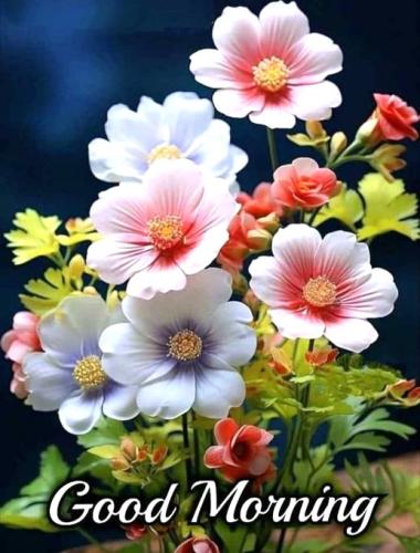 102226 - GM white , red, yellow flowers