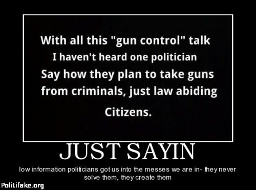 77345d371173532de04625c64a68c846--gun-quotes-southern-quotes