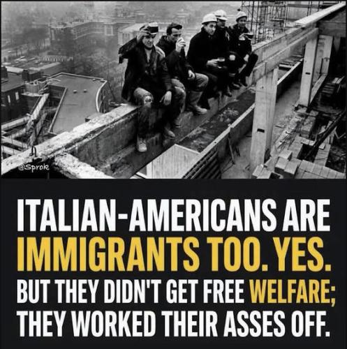illegal immigration550
