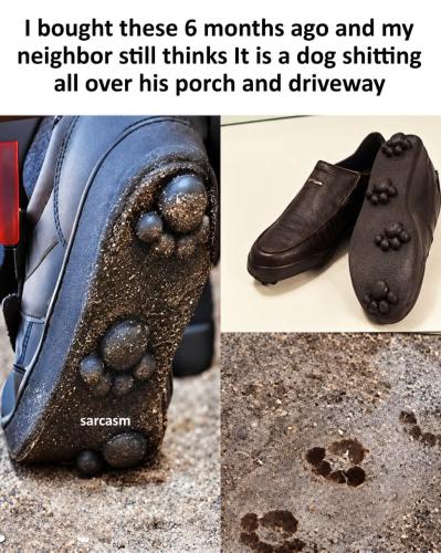 FB_IMG_1792755080329