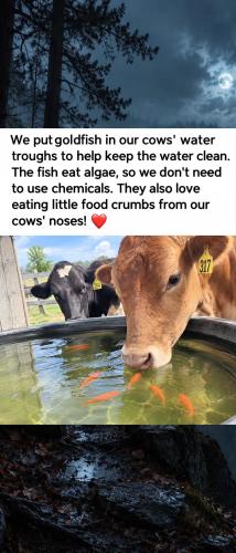 08:13:21 GMT-0700