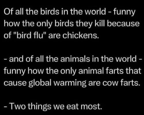 things-we-eat-most