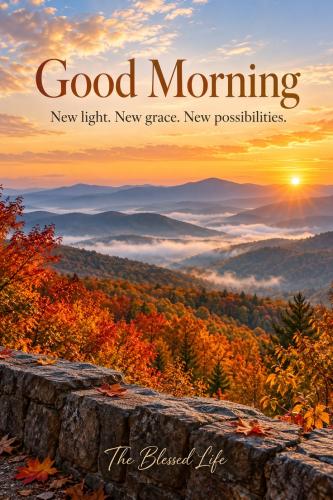 fall morning 17