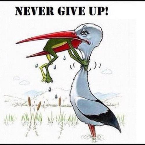 Never give up