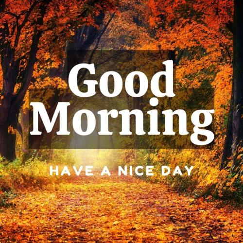 fall morning 5