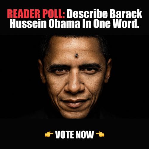 describe-obama-one-word-vote-now