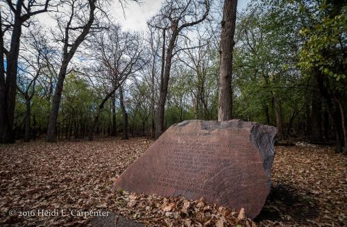 Robinson Woods Chicago, Illinois 5