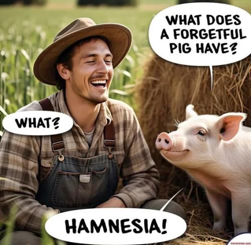 6528