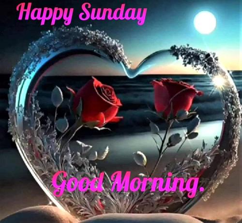 101126 - Happy Sunday