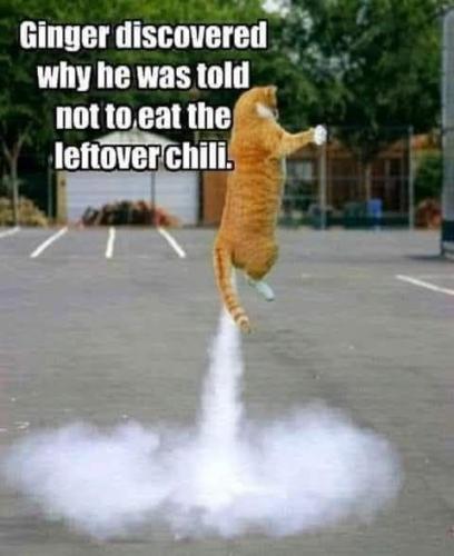 leftoverchili