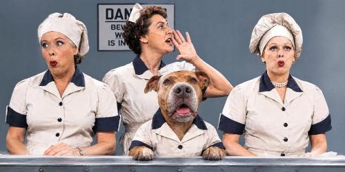i love lucy day 2026