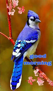 06:24:42 GMT-0500