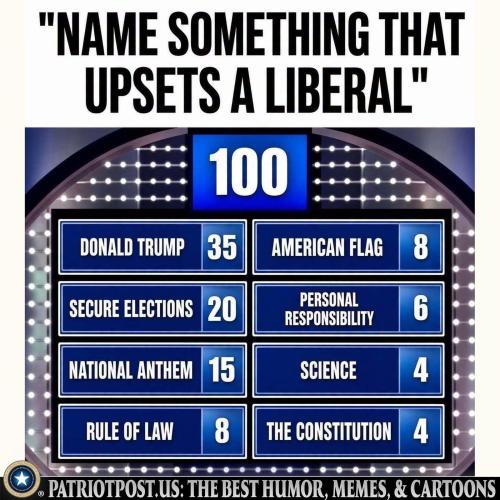 meme-things-that-upset-libs