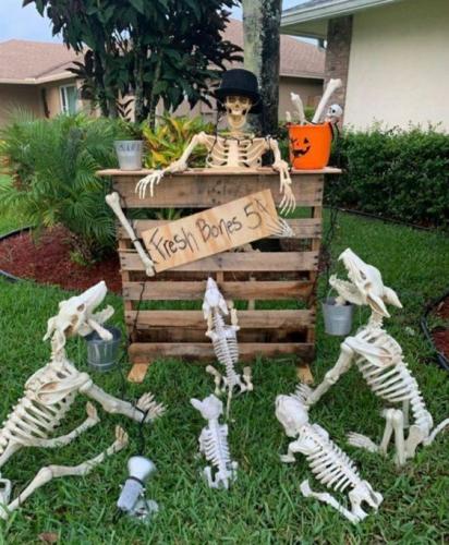 skeletons 14