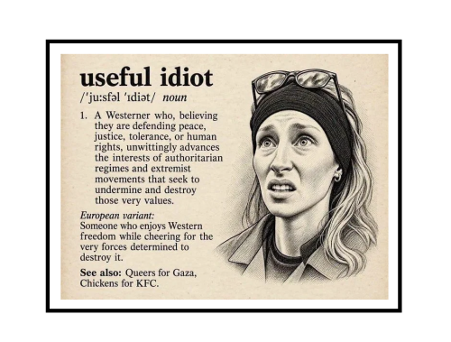 useful idiot