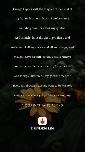 unnamed-284