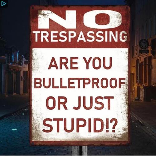bulletproof-or-stupid