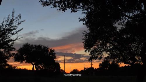 Sunrise